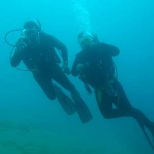 Meet your Posher, Rayner